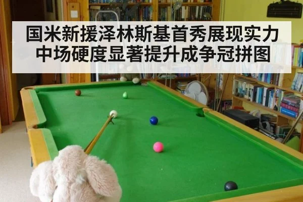 国米新援泽林斯基首秀展现实力中场硬度显著提升成争冠拼图
