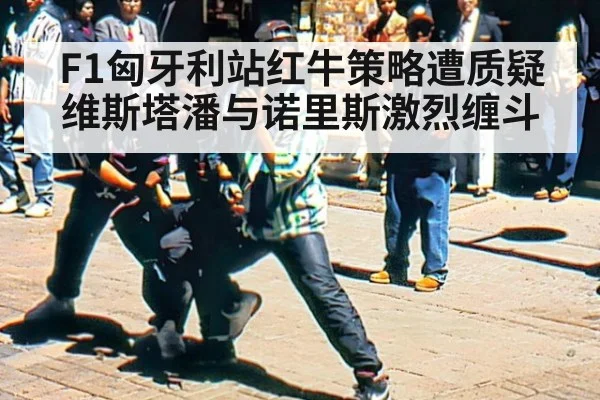F1匈牙利站红牛策略遭质疑维斯塔潘与诺里斯激烈缠斗